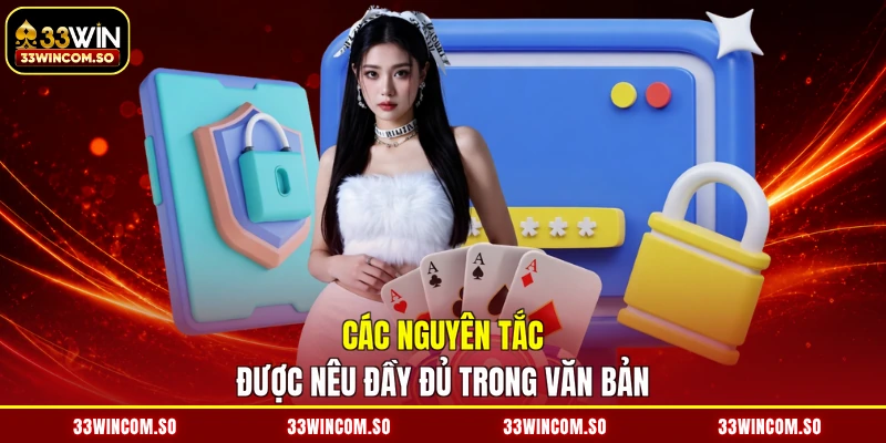 Miễn Trừ Trách Nhiệm 2 Các nguyên tắc được nêu đầy đủ trong văn bản
