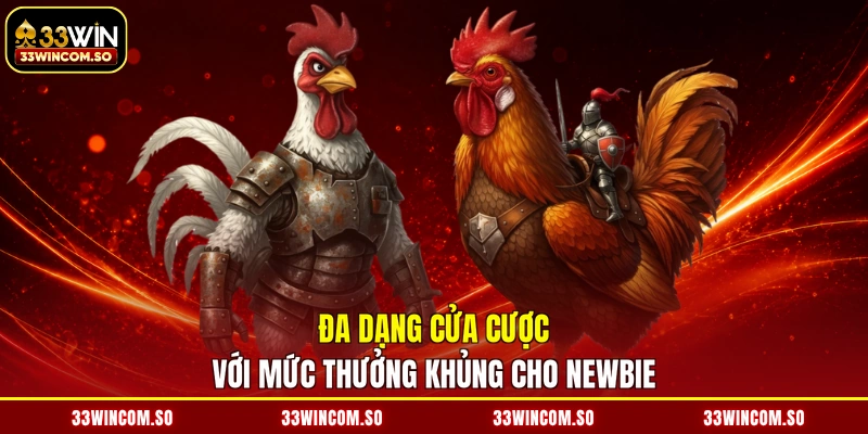 Đá Gà 33Win 2 Đa dạng cửa cược với mức thưởng khủng cho newbie