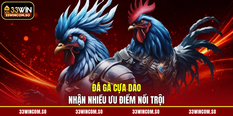 Đá gà cựa dao nhận nhiều ưu điểm nổi trội