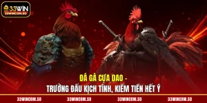 Đá Gà Cựa Dao - Trường Đấu Kịch Tính, Kiếm Tiền Hết Ý